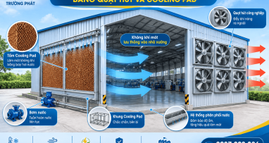 Lắp Đặt Hệ Thống Thông Gió Nhà Xưởng Bằng Quạt Hút Và Cooling Pad