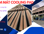 Tấm Cooling Pad dùng cho nhà xưởng – Giải pháp làm mát hiệu quả, tiết kiệm