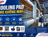 Cooling Pad Cho Xưởng May – Giải Pháp Làm Mát Tối Ưu Giúp Tăng Năng Suất Lao Động