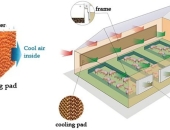 Tại sao ở Việt Nam lại sử dụng tấm cooling pad để làm mát nhà xưởng?