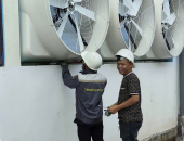 Quạt Composite – Giải Pháp Thông Gió Hiệu Quả, Bền Bỉ Cho Nhà Xưởng & Trang Trại