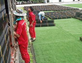 THI CÔNG & LẮP ĐẶT HỆ THỐNG LÀM MÁT TRANG TRẠI CHĂN NUÔI BẰNG TẤM LÀM MÁT NHỰA – GIẢI PHÁP TỐI ƯU TỪ TRƯỜNG PHÁT