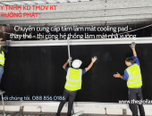 Khi nào cần vệ sinh khung làm mát Cooling Pad? Hướng dẫn chi tiết cho nhà xưởng